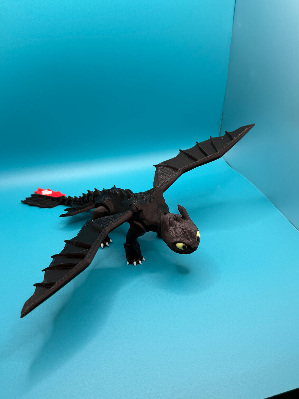 Toothless & Light Fury