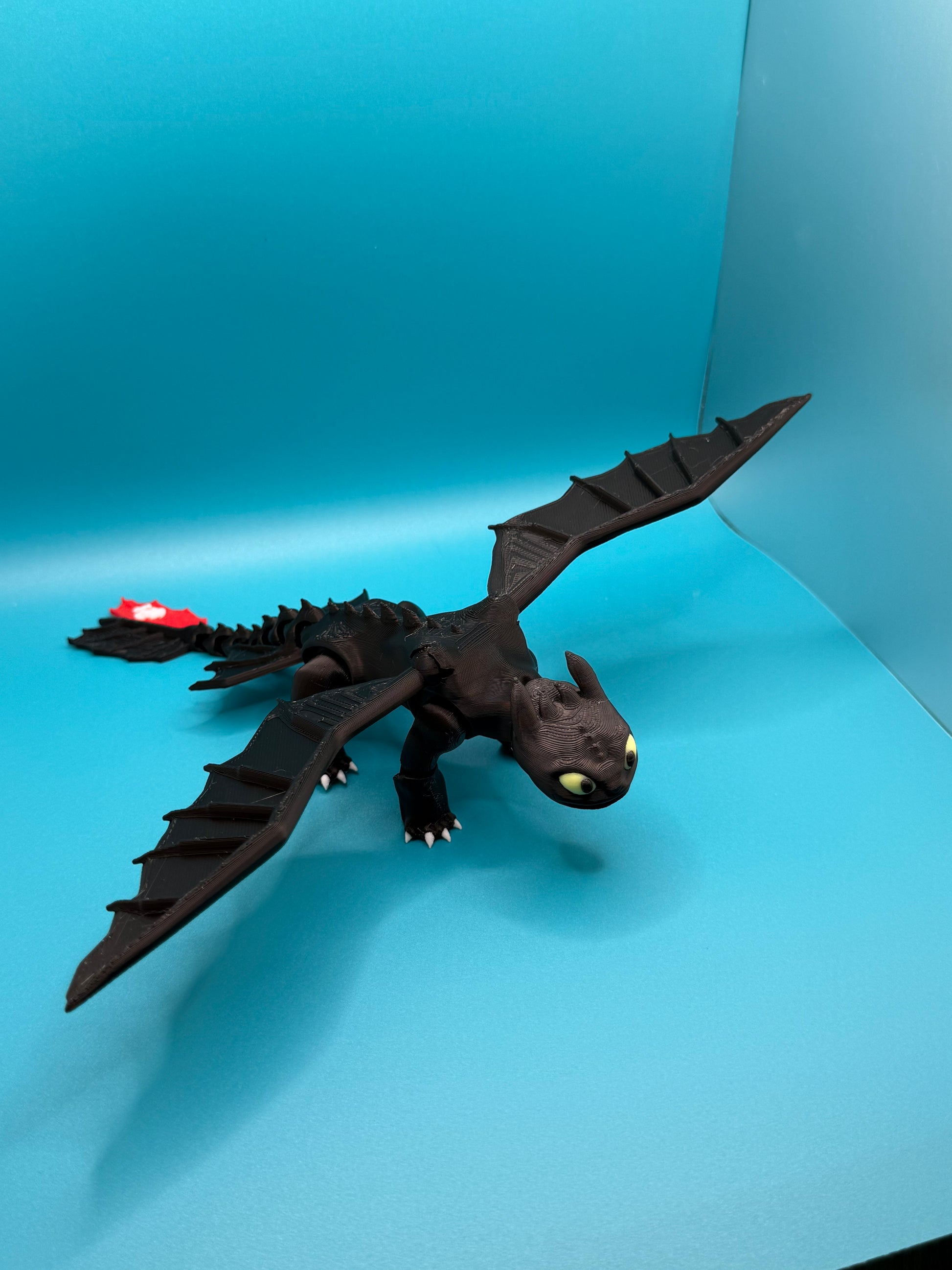 Toothless & Light Fury