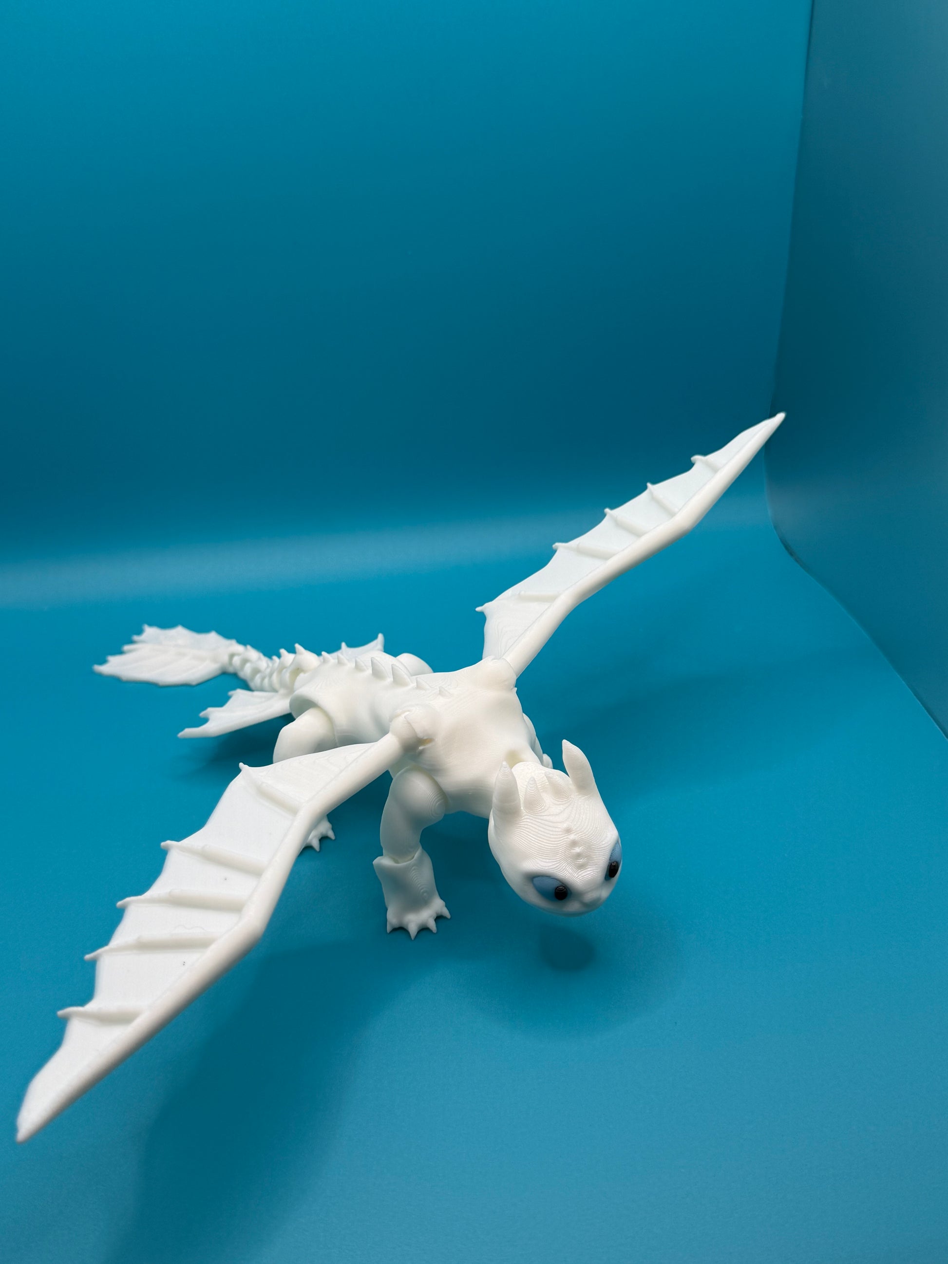 Toothless & Light Fury