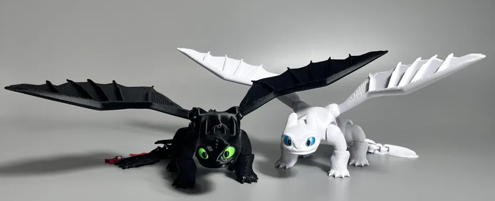 Toothless & Light Fury