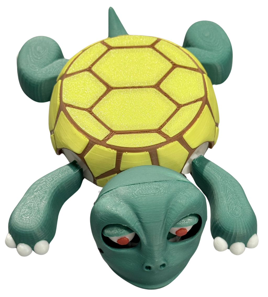 Turtle Coaster
