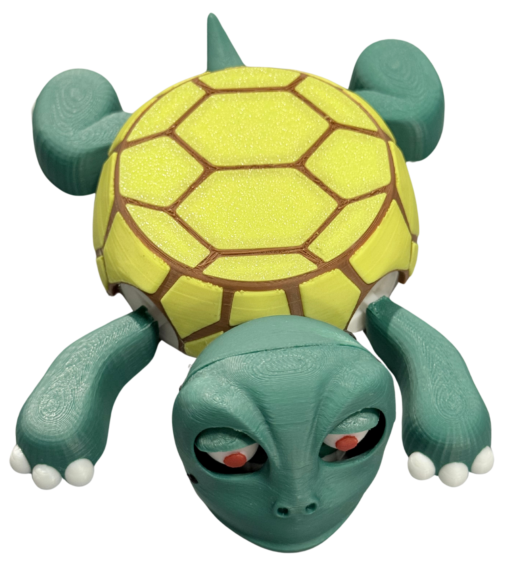 Turtle Coaster