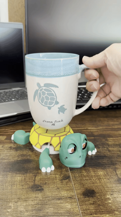 Turtle Coaster